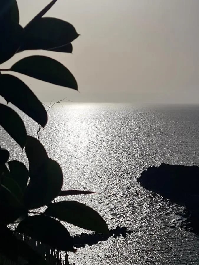 Apartment Orlando Tenerife Sur Mikey And Daisy Costa Adeje  Spain