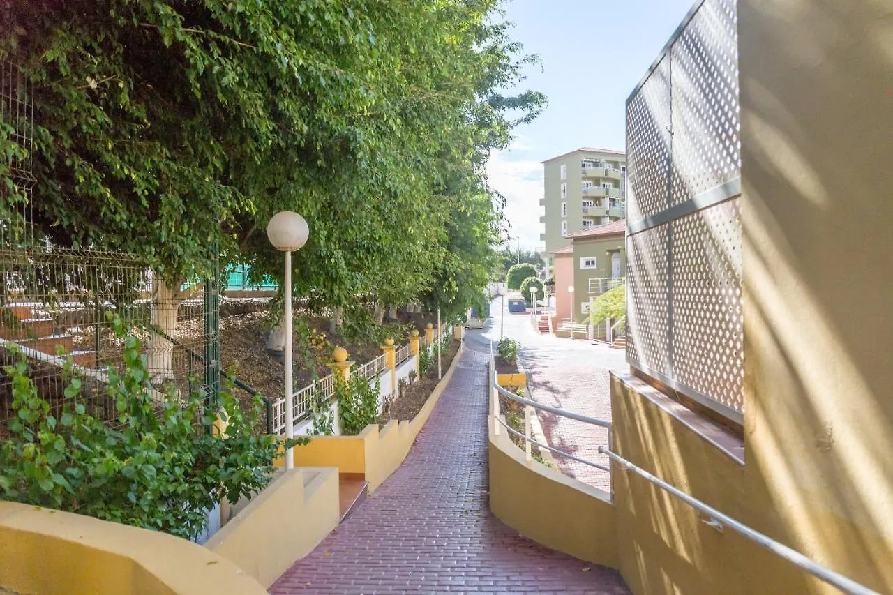 Apartment Orlando Tenerife Sur Mikey And Daisy Costa Adeje   Costa Adeje (Tenerife)
