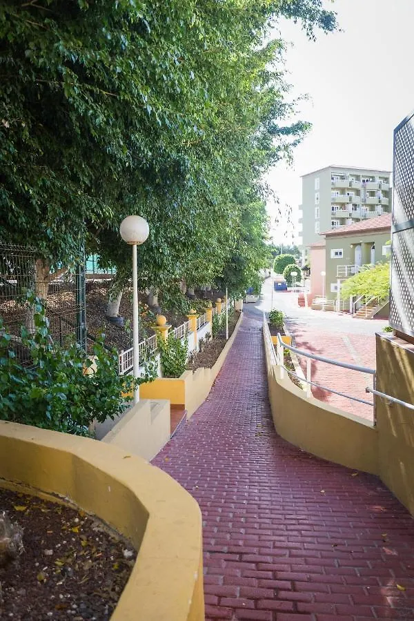 Apartment Orlando Tenerife Sur Mikey And Daisy Costa Adeje
