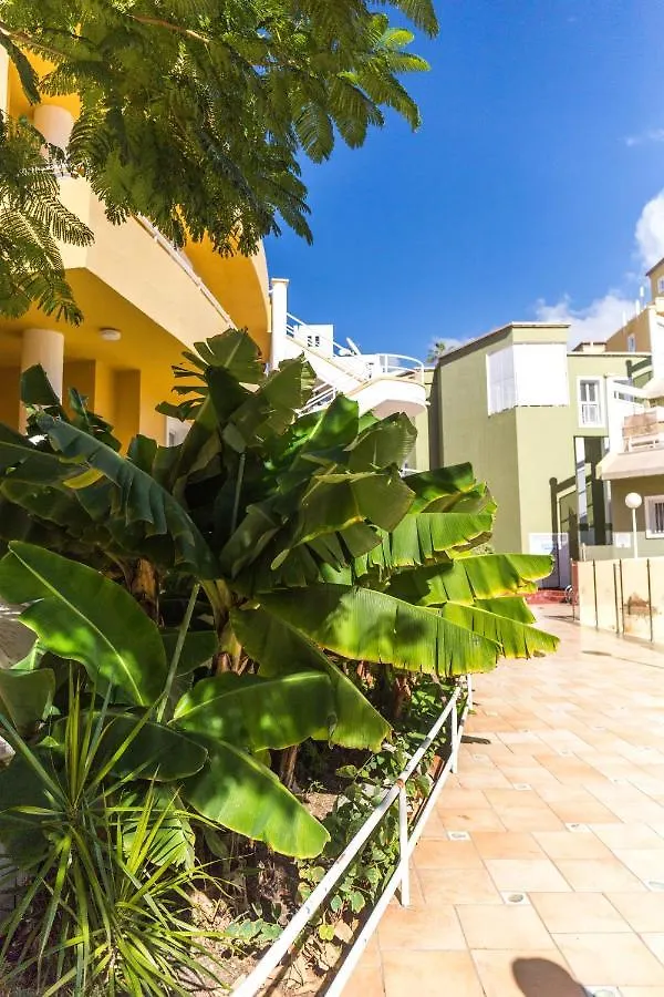 Apartment Orlando Tenerife Sur Mikey And Daisy Costa Adeje   Costa Adeje (Tenerife)